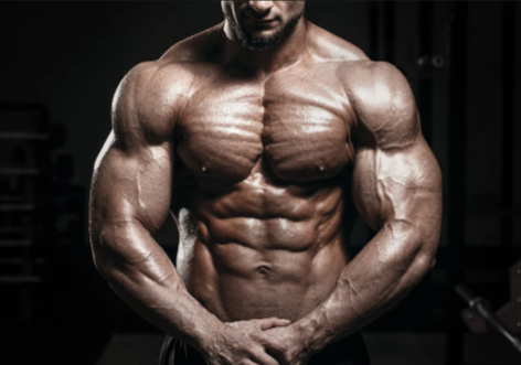 D-Bal Max Muscle Building