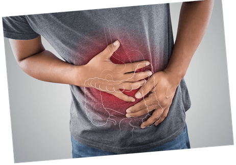 Digestion
