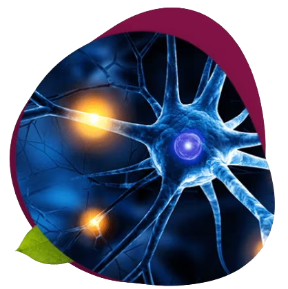 Nerve-Renew_Benefits