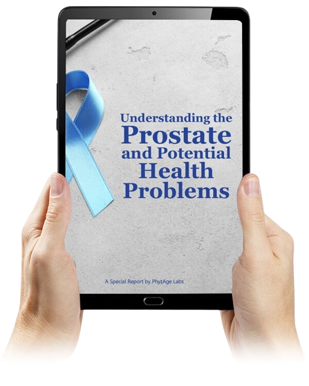 Prostate-VSL-Report2