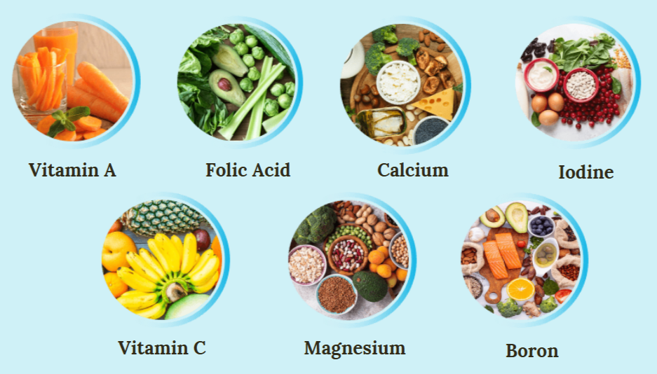 Renew Dental Support Ingredients